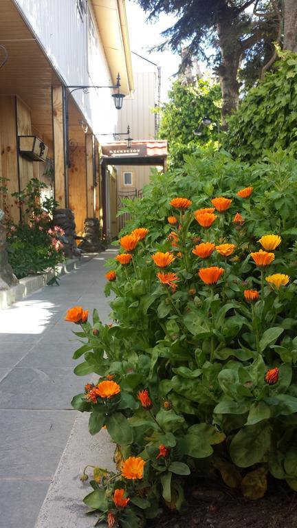 Hostal Parediso 푼타아레나스 외부 사진